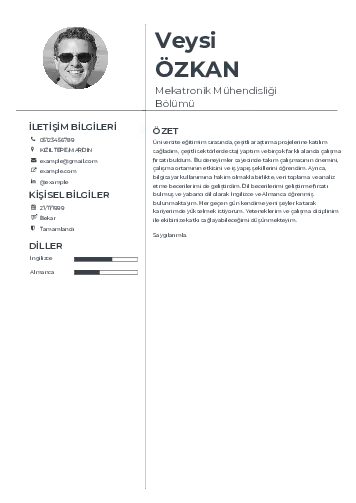 Mekatronik Mühendisliği Cv Örnekleri cv indir